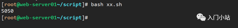 A Comprehensive Guide to Shell Scripting from Basics to Practical Applications