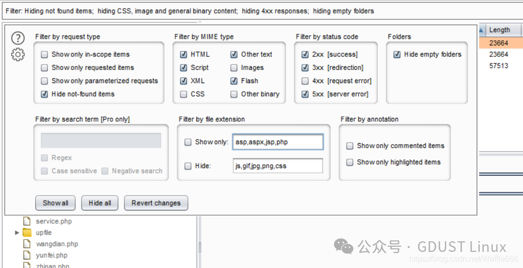 Linux Lesson 5: Web Security Vulnerabilities