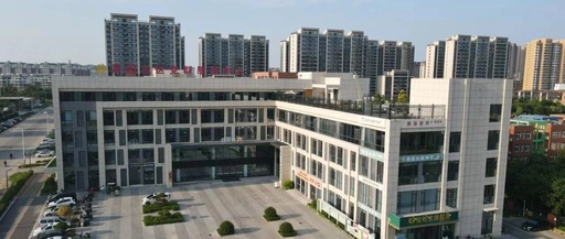 Community Health Initiative for Children in Jiayuan Community: A Heartwarming Action!