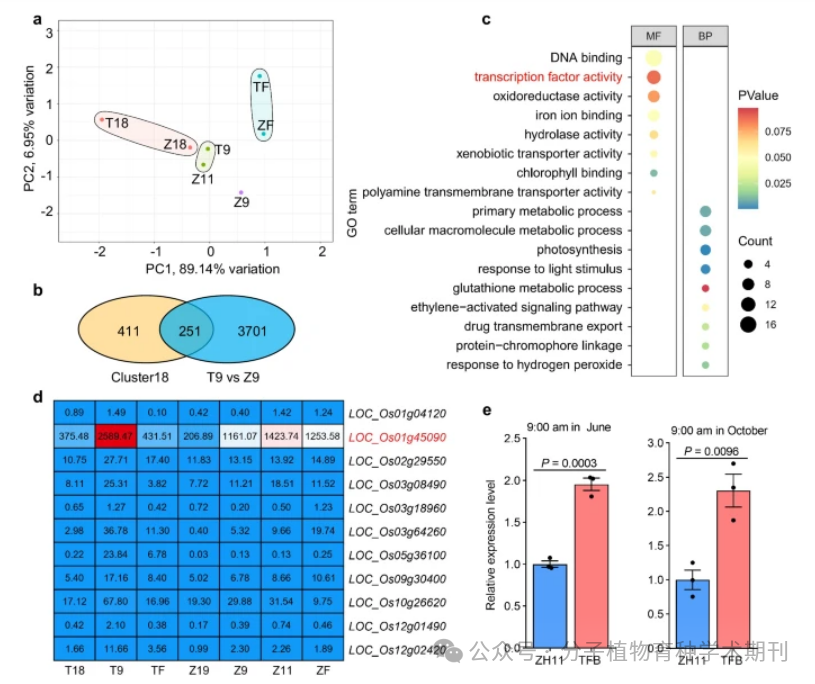 Recommended Reading: Genetic Regulation of Diurnal Flowering Time Differences in Rice: The Role of OsMYB8 and OsJAR1 Modules