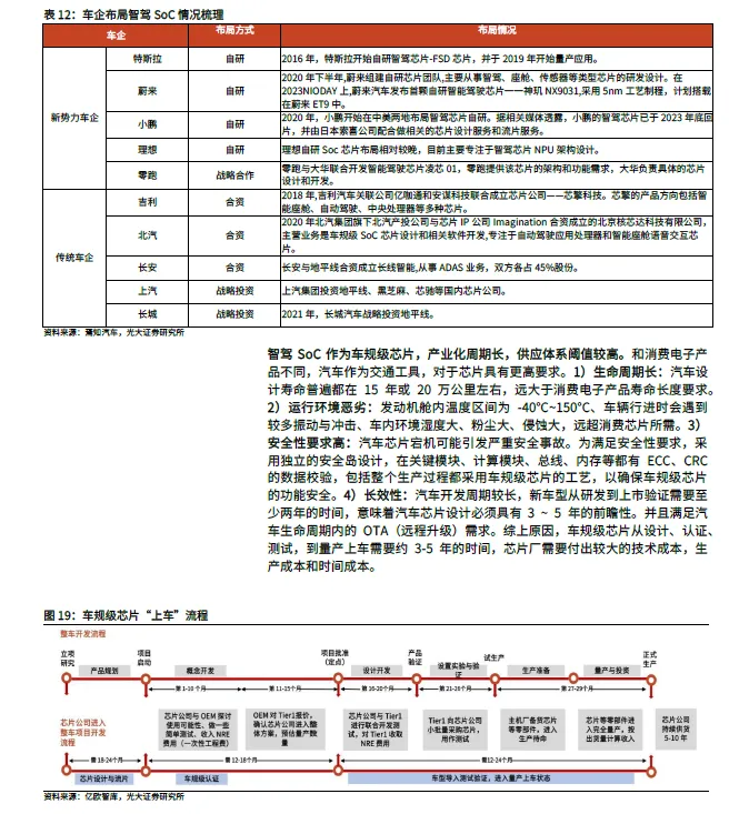 2025 In-Depth Report on Smart Driving SoC Industry