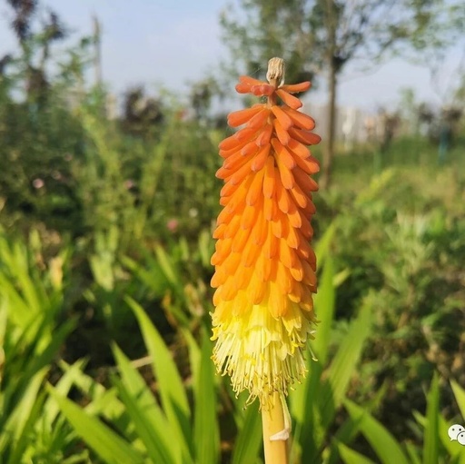 Future Development Trends of 3D Printing