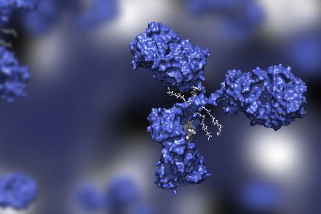 What are ADC Drugs?