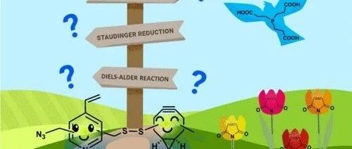 Not So Bioorthogonal Chemistry
