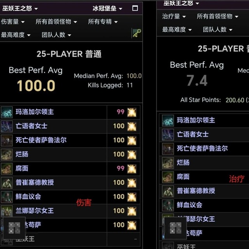 World of Warcraft Classic: Paladin Healers Achieve High DPS in ICC, Scoring 100 Points on 7 Bosses