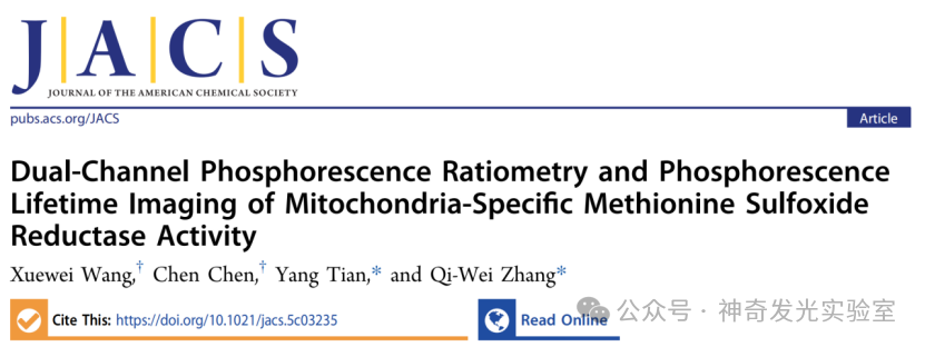J. Am. Chem. Soc.: Analysis of Mitochondria-Specific Methionine Sulfoxide Reductase Activity Based on Dual-Channel Phosphorescence Ratiometry and Lifetime Imaging