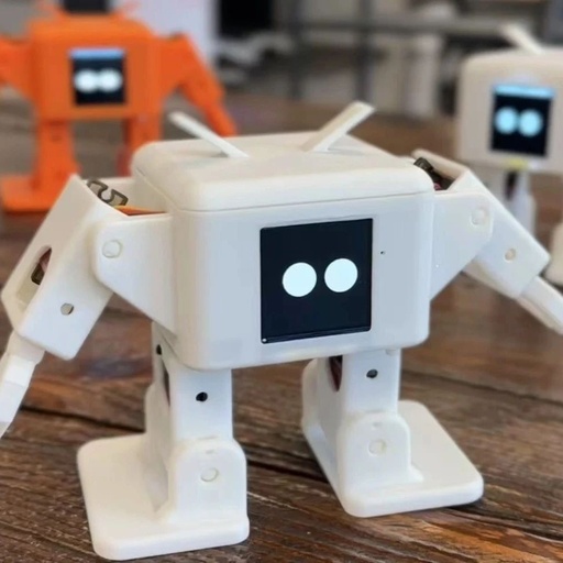 Chengbu: A Youth Team Develops an AI Desktop Humanoid Robot