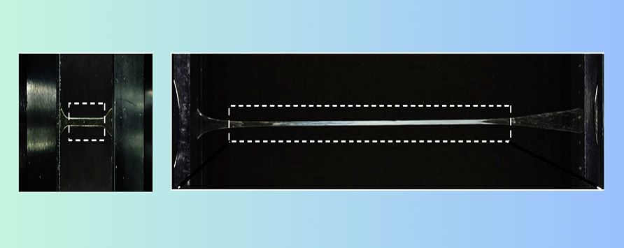 Today's News | Chinese Scientists Develop Ultra-Tough 3D Printed Elastic Material