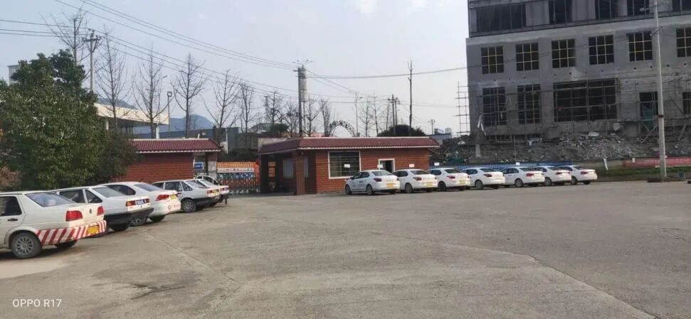 An Exciting Summer: Climbing Snowy Mountains, Learning Python, and Volunteering!