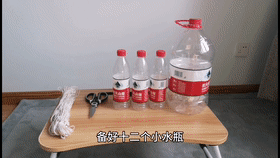 Innovative Practice School in Dalian: Excellent Micro-Class Broadcast (97) - Hydroponic Wind Chime Pothos
