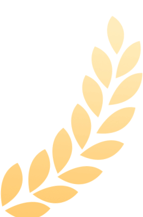 Cultivating the Spirit of Craftsmanship Between Chips and Circuits: Wang Xiaolong