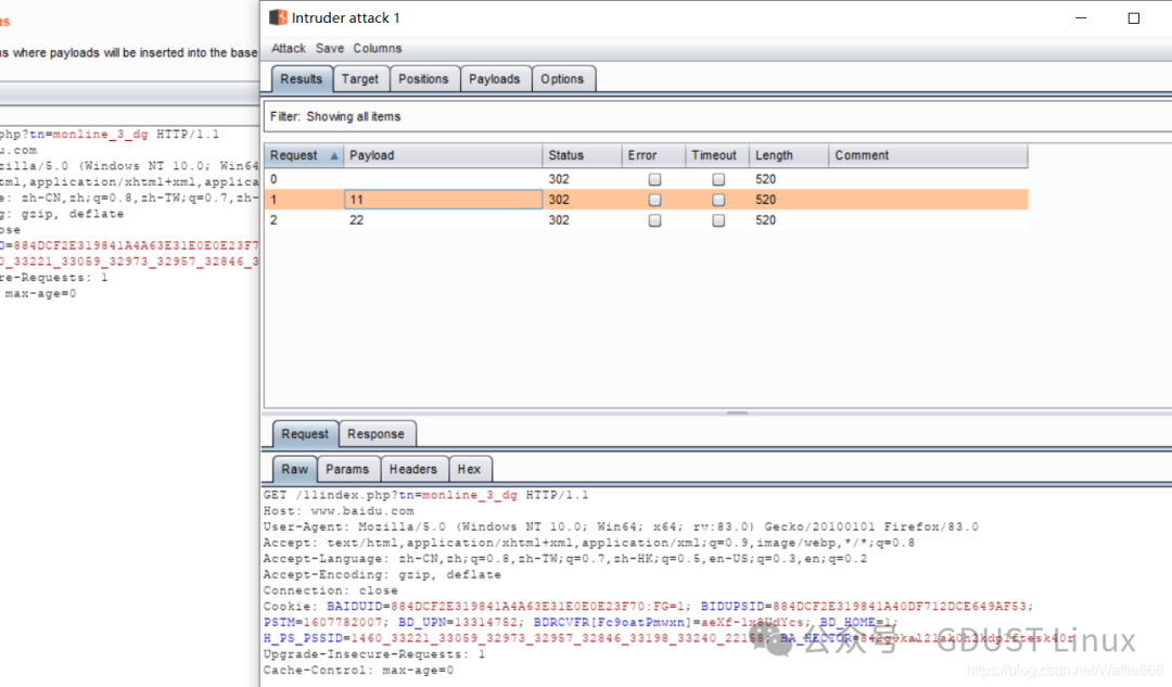 Linux Lesson 5: Web Security Vulnerabilities