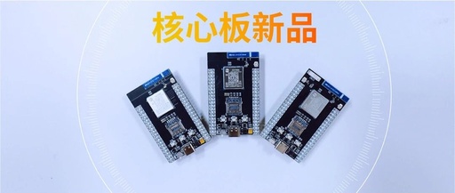 Too Big Development Board? Three New Core Boards Launched, Plus More...