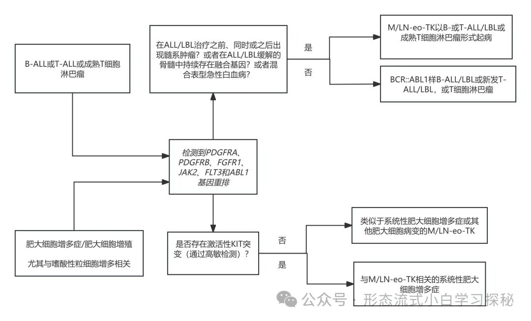 Chapter 6 of ICC: Myeloid/Lymphoid Neoplasms with Eosinophilia and Tyrosine Kinase Gene Fusions (M/LN-eo-TK)
