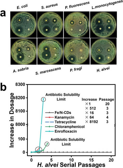 Literature Sharing | C.E.J | Fe/N-Doped Carbon Dots-Based Nanozyme with Super Peroxidase Activity, High Biocompatibility, and Antibiofilm Ability for Food Preservation