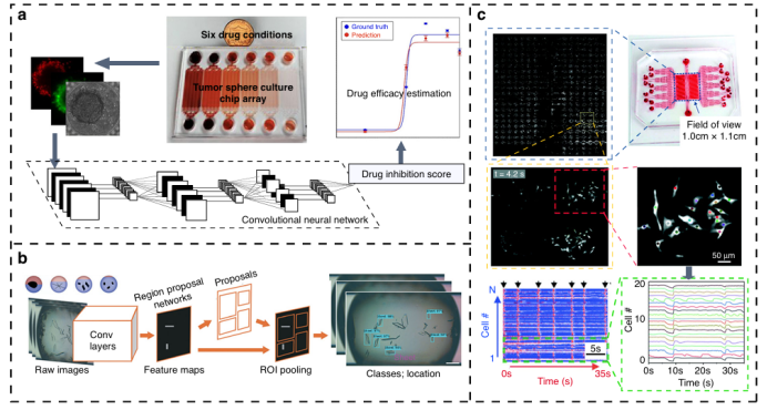 A Novel Label-Free Method for High-Throughput Single-Cell Analysis Integrating Computer Vision and Microfluidics