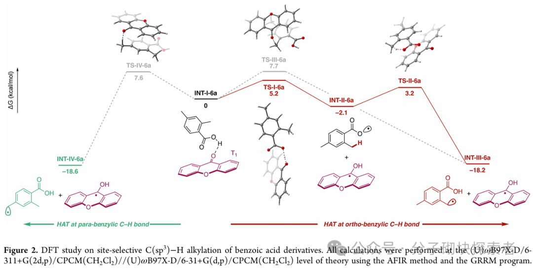 New Breakthrough in Photocatalysis! Direct Conversion of Carboxylic Acids to Radicals, Adding a New Tool for Green Chemistry, Goodbye to Heavy Metals!