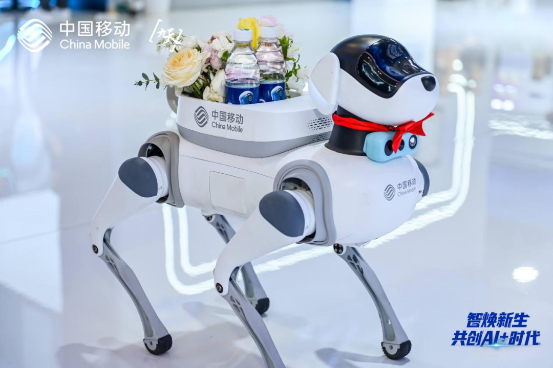 The Technical Secrets Behind Summit Robots