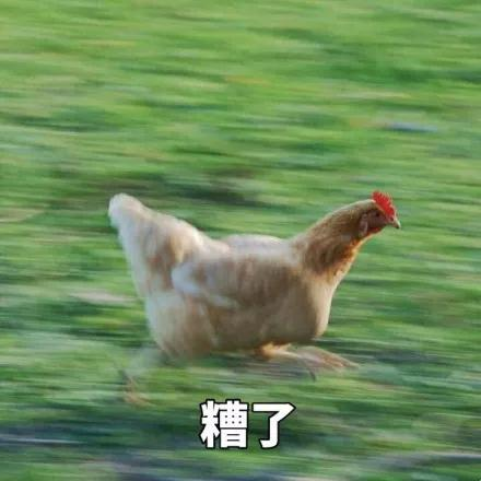 Evaluation of 9 Embedded Ovens: Which Has the Lowest Noise and Best Baking Performance?