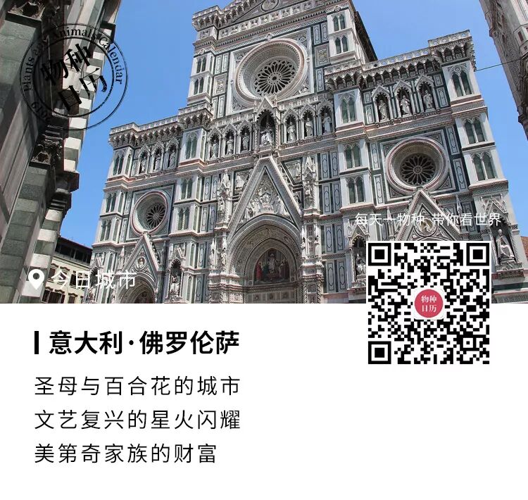 The Historical and Religious Significance of the Madonna Lily