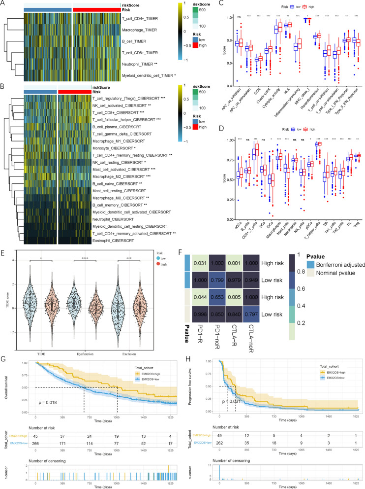 A Novel Stemness-Related lncRNA Signature Predicts Prognosis, Immune Infiltration, and Drug Sensitivity in Clear Cell Renal Cell Carcinoma
