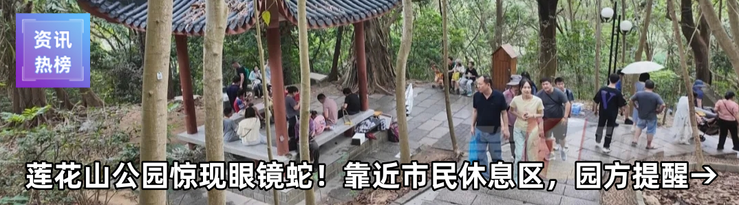 Speed Comparable to High-Speed Rail! Shenzhen University Student Creates a Guinness World Record!