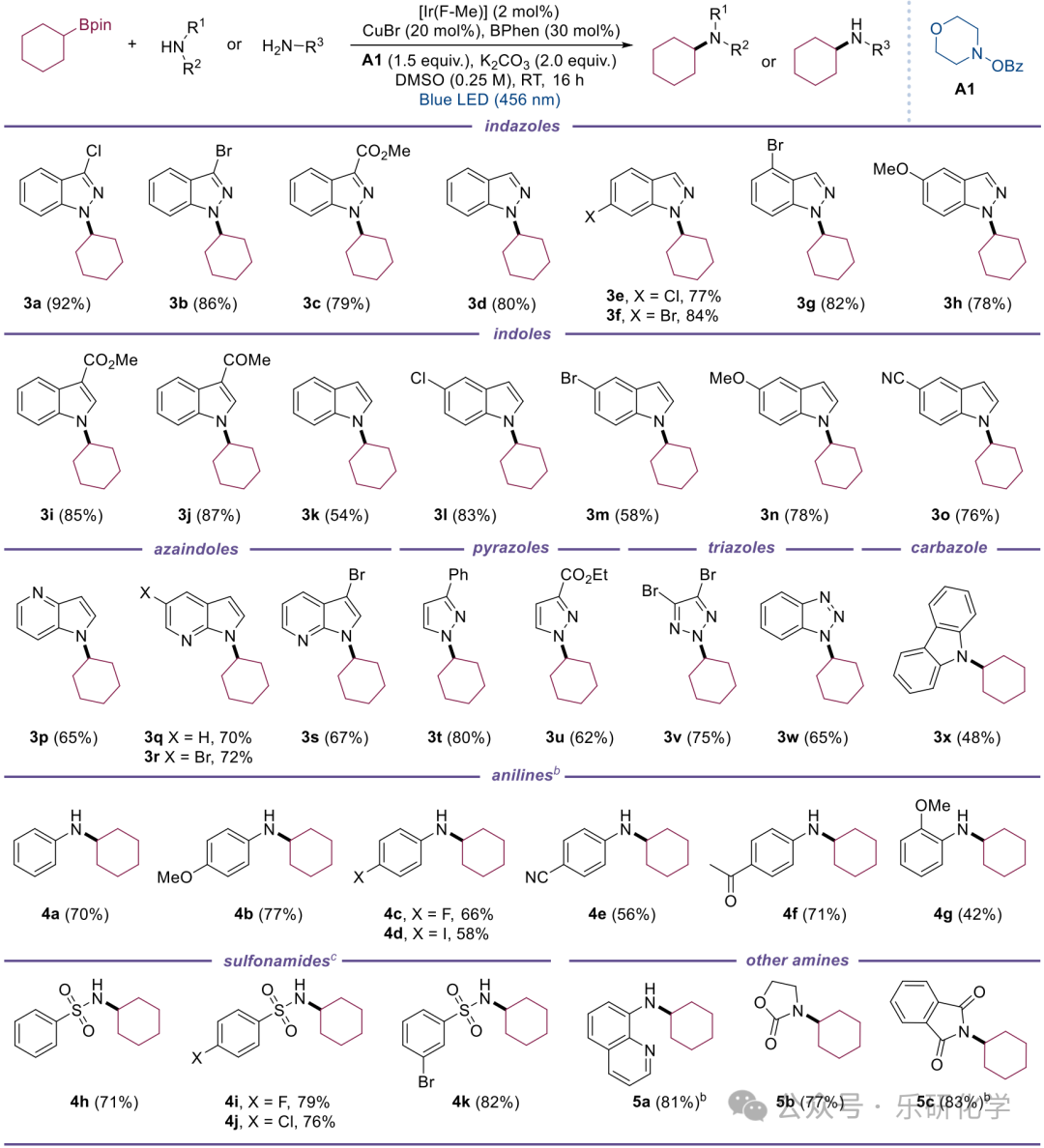 Photocatalytic N-Alkylation