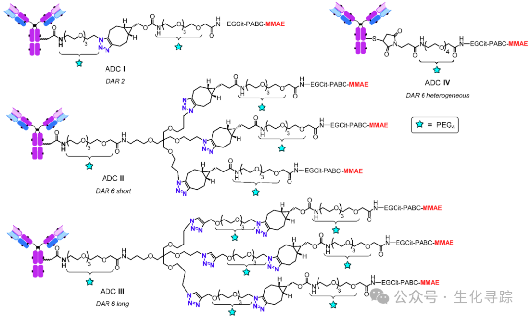 Branch Linkers for ADCs: What Length is Appropriate?