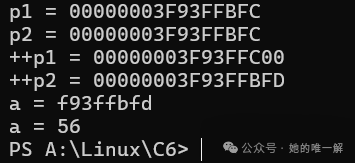 Embedded Linux: A Comprehensive Guide to Pointers