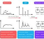 Timescale Identification Decoupling Complex Kinetic Processes in Lithium Batteries