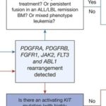 Chapter 6 of ICC: Myeloid/Lymphoid Neoplasms with Eosinophilia and Tyrosine Kinase Gene Fusions (M/LN-eo-TK)