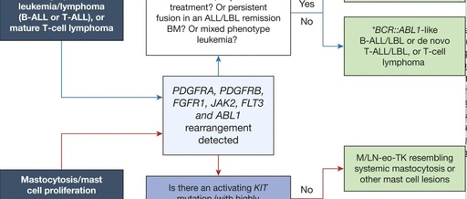 Chapter 6 of ICC: Myeloid/Lymphoid Neoplasms with Eosinophilia and Tyrosine Kinase Gene Fusions (M/LN-eo-TK)