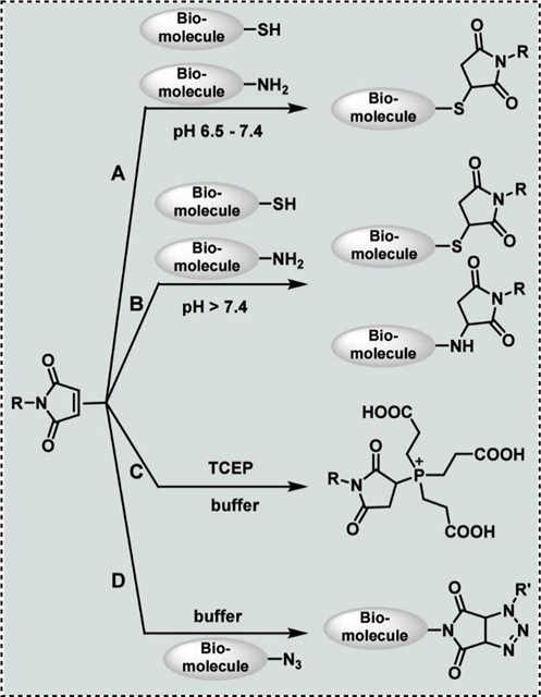 Not So Bioorthogonal Chemistry