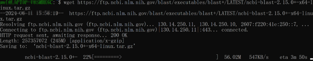 Installation of BLAST on Linux Operating System