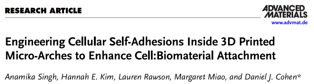 Princeton University 'AM' | Designing Cellular Self-Adhesions Inside 3D Printed Micro-Arches to Enhance Cell: Biomaterial Attachment