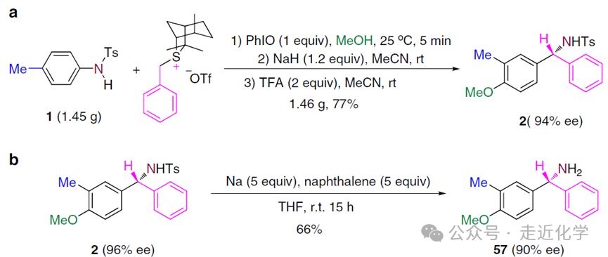 One-Carbon Insertion Reaction of Aromatic C-N Bonds: Efficient Synthesis of Chiral Benzylamines