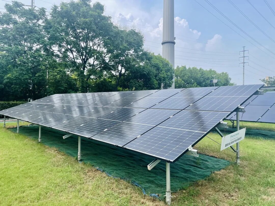 Contributions to Carbon Neutrality: Feasibility of Smart Reminder Medicine Cabinets and Campus Photovoltaic Power Applications