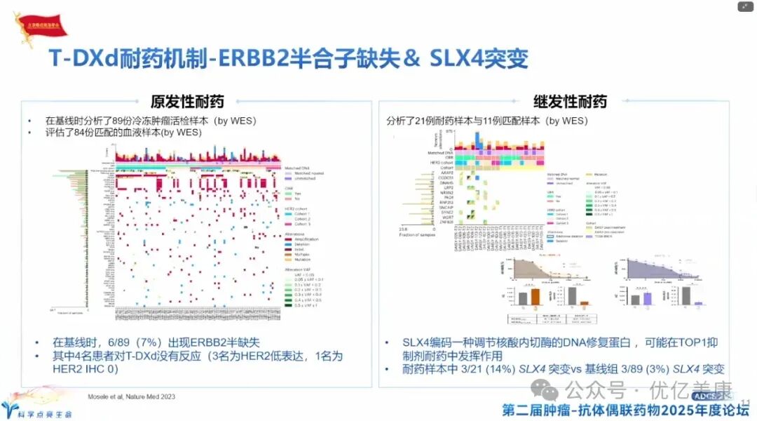 Exploring Solutions to ADC Drug Resistance