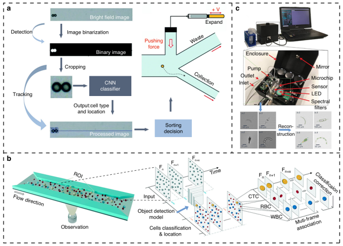 A Novel Label-Free Method for High-Throughput Single-Cell Analysis Integrating Computer Vision and Microfluidics