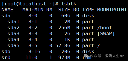 Creating and Permanently Mounting Logical Volumes with LVM in Linux