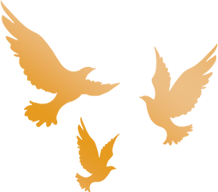 The Colorful Course: The Adventure of Stationery