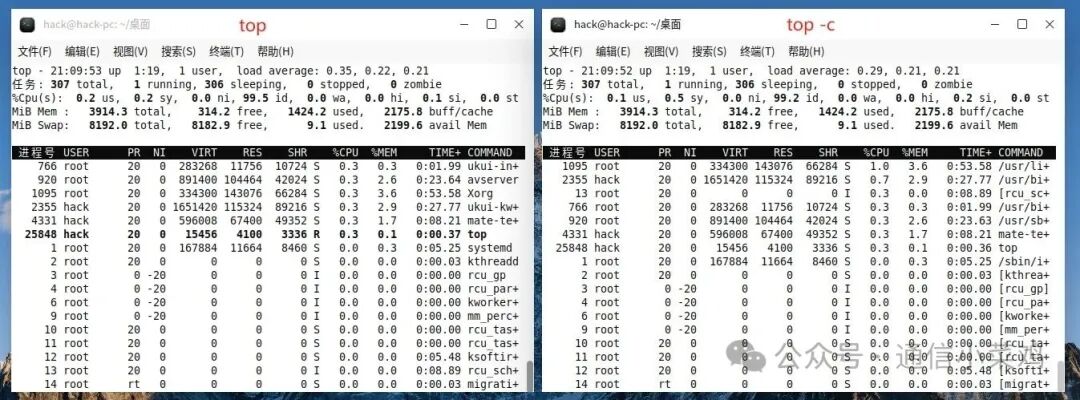 Basic Knowledge of Linux System: Detailed Explanation of the top Command