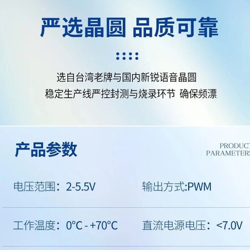 Development of the NY4P065JS14 Voice One-Time Programmable Chip Music IC Solution