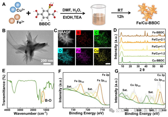 Professor Dong Haifeng from Beijing University of Science and Technology in ACS NANO: Bimetallic Metal-Organic Framework Microneedle Array Promotes Wound Healing through Targeted Reactive Oxygen Species Generation and Disruption of Electron Transfer