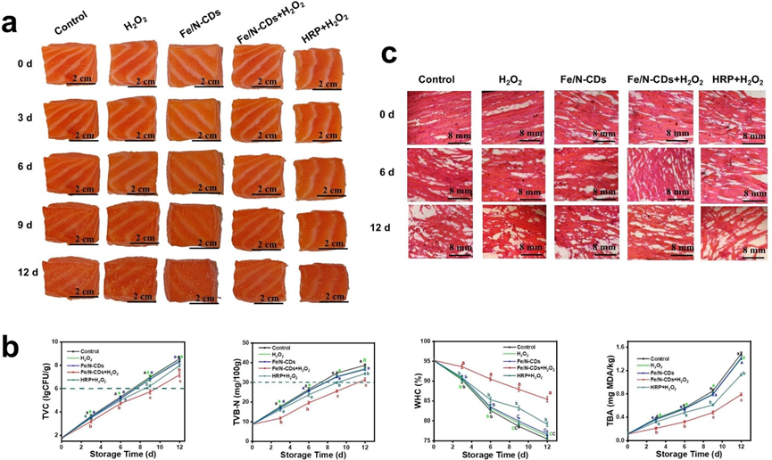 Literature Sharing | C.E.J | Fe/N-Doped Carbon Dots-Based Nanozyme with Super Peroxidase Activity, High Biocompatibility, and Antibiofilm Ability for Food Preservation