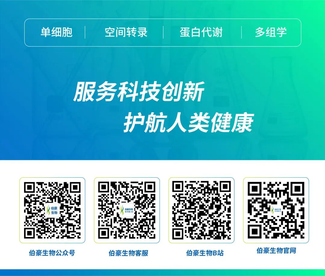 Discovery of an Unconventional Lamprey Lymphocyte Lineage Highlights Divergent Features in Vertebrate Adaptive Immune System Evolution