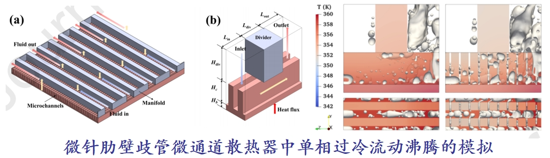 Southeast University | Interleaved Leaf Vein Shaped Embedded Microchannel Heat Exchanger