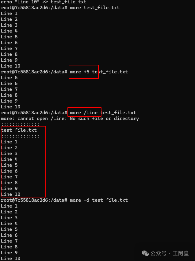 Mastering the Linux File System: A Guide to the 'more' Command and Its Practical Applications