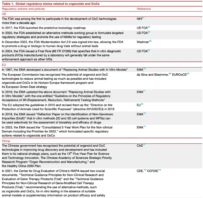 Industry Insights | Research Report on AI and Organoids and Organ-on-Chip Technologies