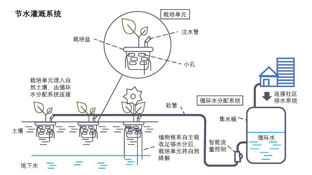 Innovative Green Solutions from Students: Clean Energy Clothing and Water-Saving Cultivation Systems